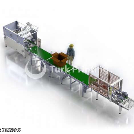 New Tuva Single Personnel Box Filling Line year of 2021 for sale, price ask the owner, at TurkPrinting in Case Packers - Case Packing Machines
